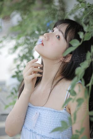 斯嘉丽小姐和公爵第二季